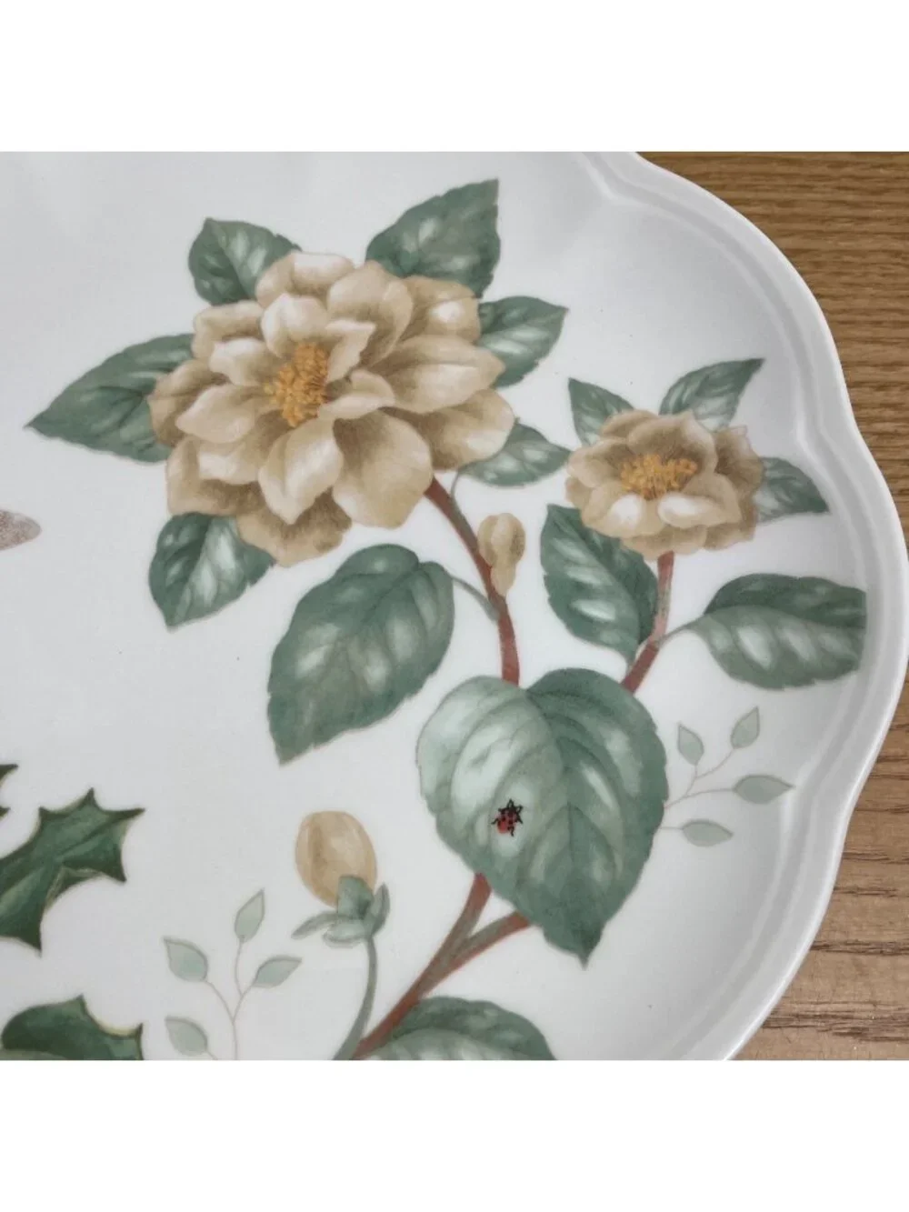 Lenox Butterfly Meadow Holiday Dragonfly Plate 9 inch Christmas Ladybug Holly